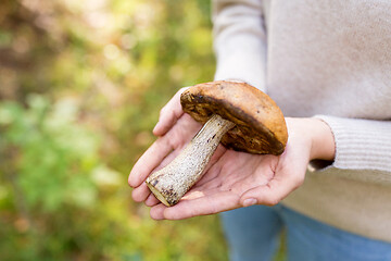 Image showing close up of woman hands holding mushroom in forest