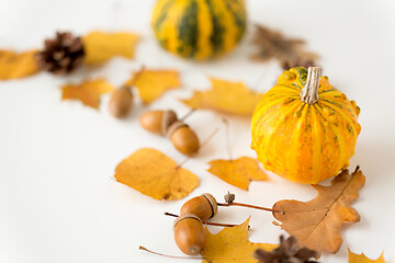 Image showing close up of pumpkin, acorns and autumn leaves