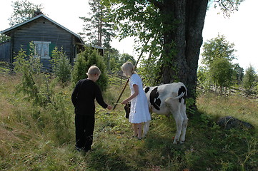 Image showing Kids with cow