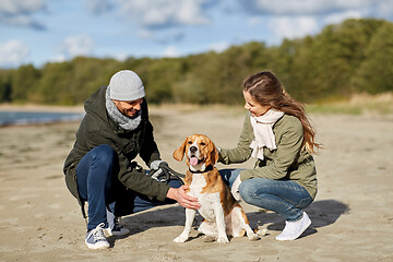 Image showing happy couple with beagle dog on autumn beach