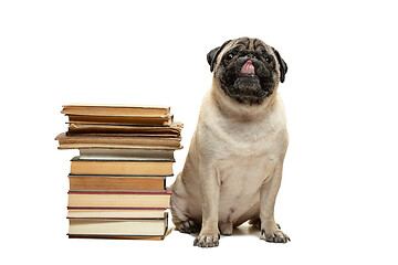 Image showing smart intelligent pug puppy dog sitting down between piles of books, on white background