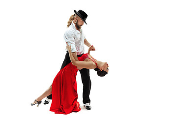 Image showing Portrait of young elegance tango dancers. Isolated over white background