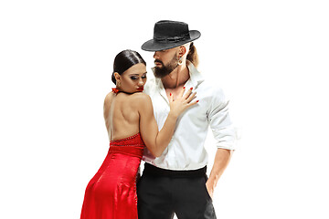 Image showing Portrait of young elegance tango dancers. Isolated over white background