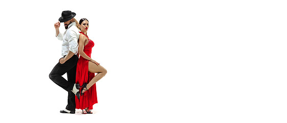 Image showing Portrait of young elegance tango dancers. Isolated over white background