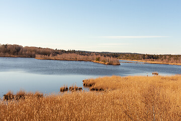 Image showing The Ainringer Moss