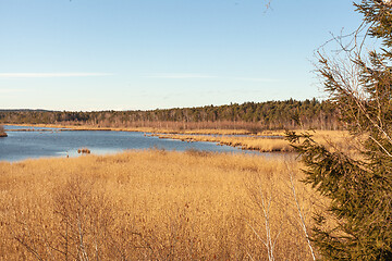 Image showing The Ainringer Moss