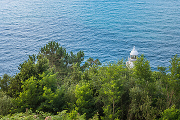 Image showing Lighthouse behind the trees in cyan sea