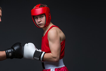 Image showing Young boxer in red form