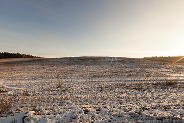 Image showing Agricultural field covered by snow