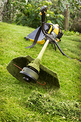 Image showing Petrol trimmer on the sloped lawn