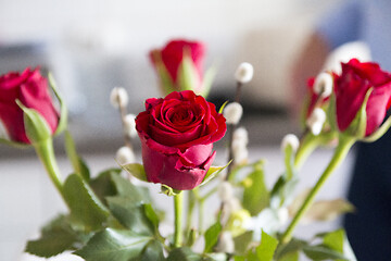 Image showing Red Roses