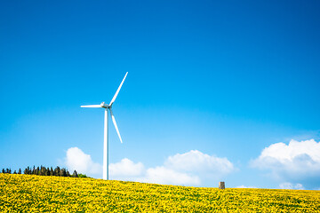 Image showing a wind energy turbine in the dandelion meadow