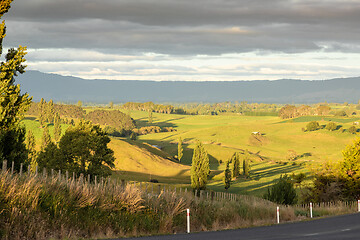 Image showing typical rural landscape in New Zealand