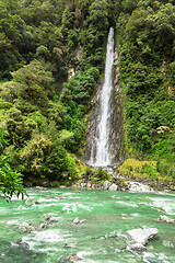 Image showing Thunder Creek Falls, New Zealand