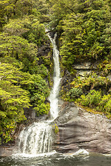 Image showing Fiordland National Park New Zealand