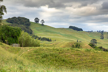 Image showing typical rural landscape in New Zealand