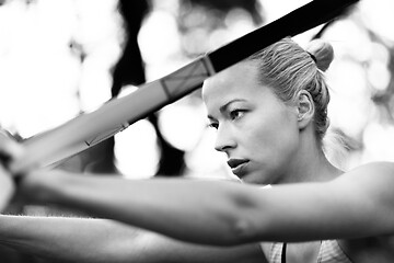 Image showing Training with fitness straps outdoors.