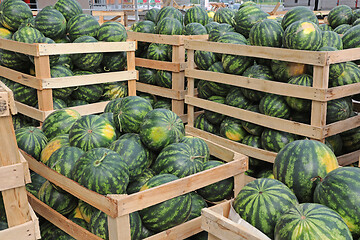 Image showing Crates With Watermelons