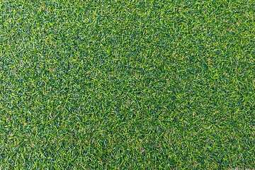 Image showing Artificial Green Grass