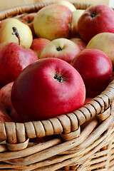 Image showing Close-up of bright ripe apples in a basket