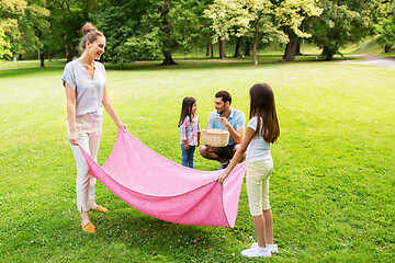 Image showing family laying down picnic blanket in summer park