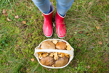 Image showing basket of mushrooms and feet in gumboots in forest