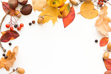 Image showing autumn leaves, chestnuts, acorns and berries frame