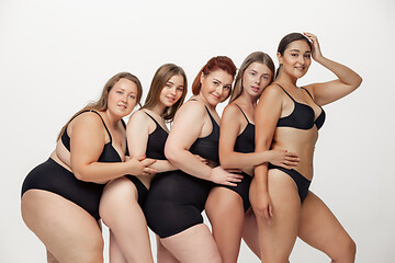 Image showing Portrait of beautiful young women with different shapes posing on white background