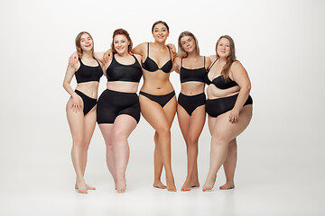 Image showing Portrait of beautiful young women with different shapes posing on white background