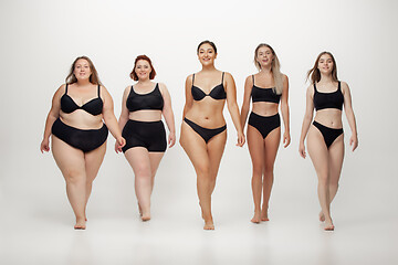 Image showing Portrait of beautiful young women with different shapes posing on white background