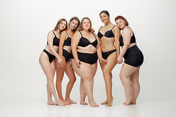 Image showing Portrait of beautiful young women with different shapes posing on white background