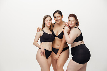 Image showing Portrait of beautiful young women with different shapes posing on pink background