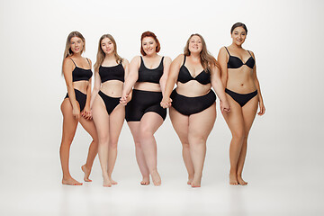 Image showing Portrait of beautiful young women with different shapes posing on white background