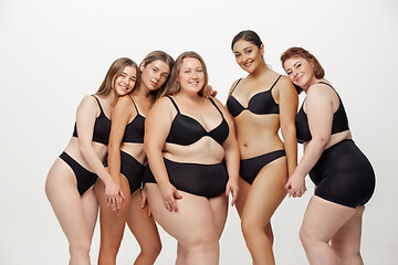 Image showing Portrait of beautiful young women with different shapes posing on white background