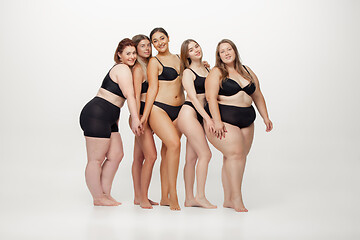 Image showing Portrait of beautiful young women with different shapes posing on white background