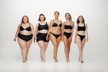 Image showing Portrait of beautiful young women with different shapes posing on white background