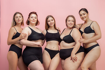 Image showing Portrait of beautiful young women with different shapes posing on pink background