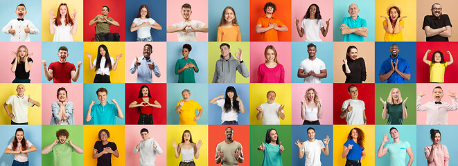 Image showing Collage of portraits of young people on multicolored background