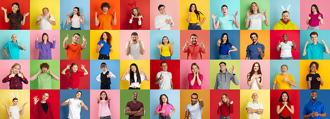 Image showing Collage of portraits of young people on multicolored background