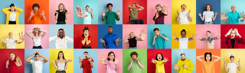 Image showing Collage of portraits of young people on multicolored background