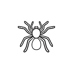 Image showing Spider tarantula hand drawn sketch icon.