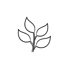 Image showing Branch with leaves hand drawn sketch icon.