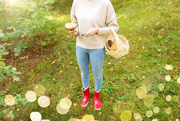 Image showing woman with basket picking mushrooms in forest