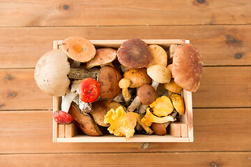 Image showing wooden box of different edible mushrooms