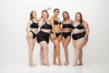 Image showing Portrait of beautiful young women with different shapes posing on white background