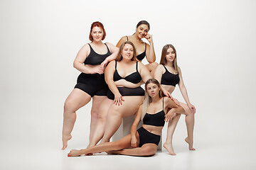 Image showing Portrait of beautiful young women with different shapes posing on white background