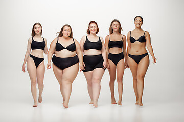 Image showing Portrait of beautiful young women with different shapes posing on white background