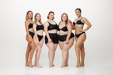 Image showing Portrait of beautiful young women with different shapes posing on white background