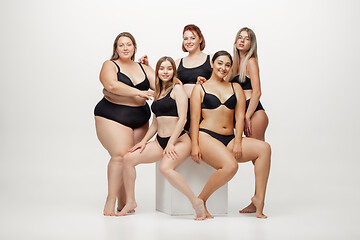 Image showing Portrait of beautiful young women with different shapes posing on white background