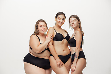 Image showing Portrait of beautiful young women with different shapes posing on pink background